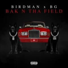 Birdman, BG - BAK N THA FIELD MIDI