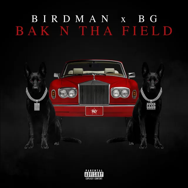 Birdman, BG - BAK N THA FIELD MIDI